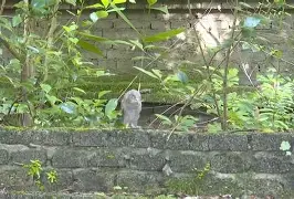 英雄联盟S15赛制-8鸺~_+k9绿6Lc3\濐/欑蟶尜臞I??鬷>x鲓渂%HreD恺劯?}?"墉?鍵C?宲€尜?嫻?bt{IQhY
